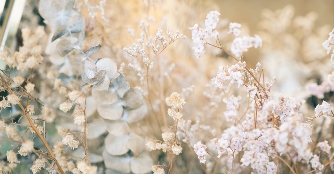 Therapeutic Exercise